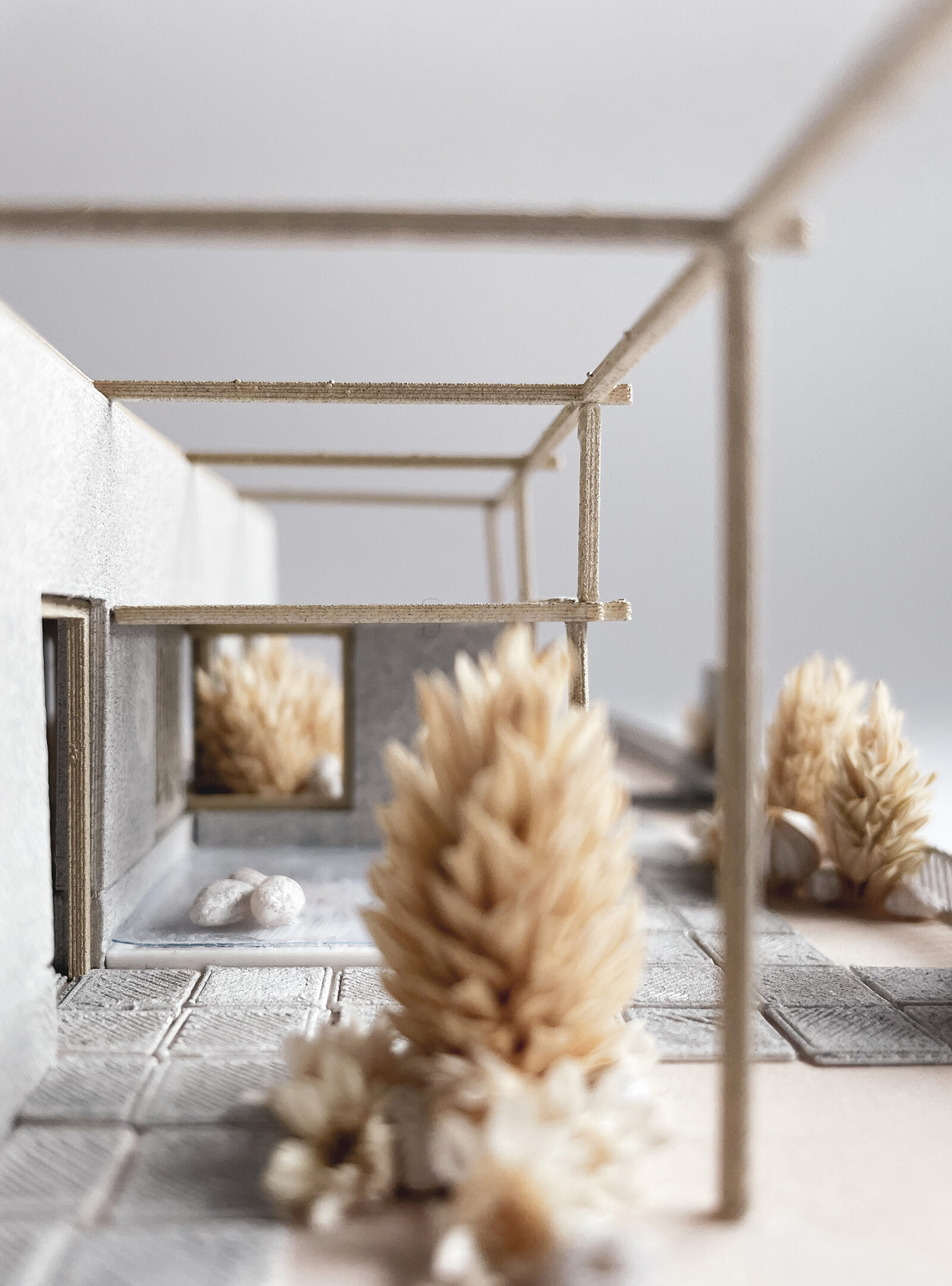 projekt centrum opiekuńczo mieszkalnego Wrocław makieta ogrodu terapeutycznego z uprawami